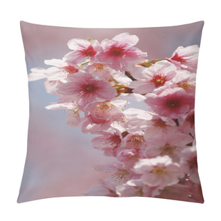 Personality  Spring Tree Flowers Blossom Pillow Covers