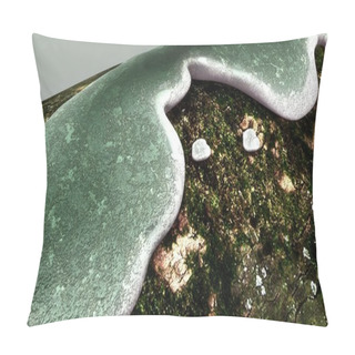 Personality   Trichoderma Culturable Fungi Pillow Covers