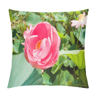 Personality  Valley Of Lotuses Pillow Covers