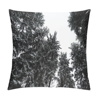 Personality  Bottom View Of Pine Trees Covered With Snow With White Pure Sky On Background Pillow Covers