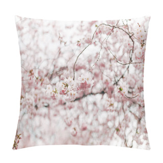 Personality  Selective Focus Of Beautiful Cherry Tree Blossom Pillow Covers
