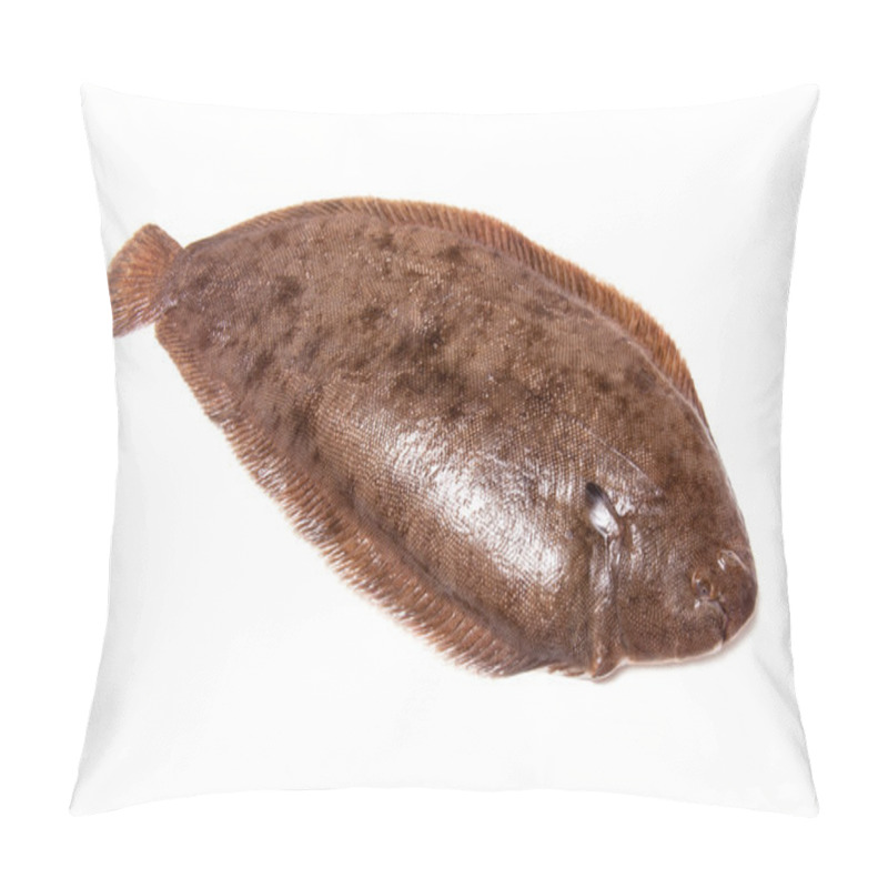 Personality  Dover sole fish whole pillow covers