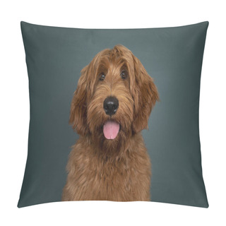 Personality  Head Shot Of Handsome Red Cobberdog Aka Labradoodle Dog, Sitting Up Facing Front. Looking Towards Camera With Tongue Out Of Mouth. Isolated On A Green Trend Color Background. Pillow Covers