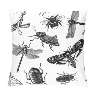 Personality  Vector Background With High Detailed Insects Sketches. Hand Drawn Butterflies, Beetles, Dragonfly, Cicada, Bumblebee, Grasshopper, Mantis Illustrations. Entomological Seamless Pattern Pillow Covers