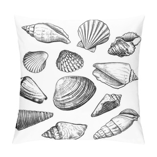 Personality  Seashells Sketch Set Pillow Covers