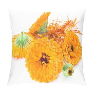 Personality  Calendula Flowers On The White Background. Pillow Covers