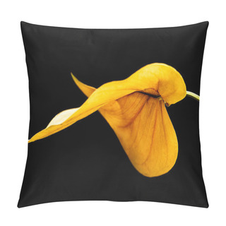 Personality  Beautiful Yellow Leaf, Isolated On Black Background  Pillow Covers