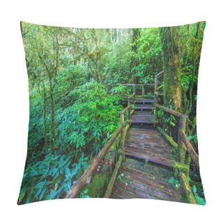 Personality  Passage In The Primeval Forest Pillow Covers