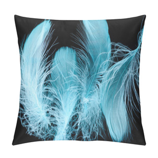 Personality  Background With Blue Bright Textured And Lightweight Feathers Isolated On Black Pillow Covers