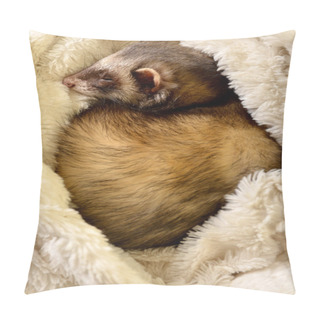 Personality  Cute Ferret Sleeping Pillow Covers