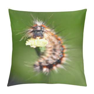 Personality  Black - Red Caterpillar Pillow Covers