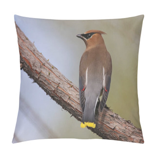 Personality  A Cedar Waxwing In A Tree Pillow Covers
