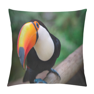 Personality  Photo Of The Tropical Bird Tucan In South America Pillow Covers