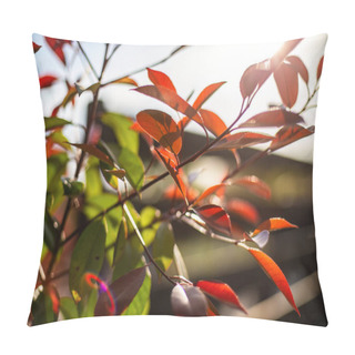 Personality  A Close-up View Of A Majestic Tree With Vibrant Red Leaves, Standing Tall And Proud In The Midst Of A Woodland Setting. Pillow Covers
