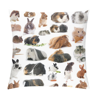 Personality  Group Of Rodents Pillow Covers