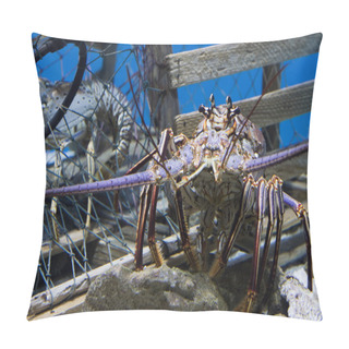 Personality  Lobster Pillow Covers