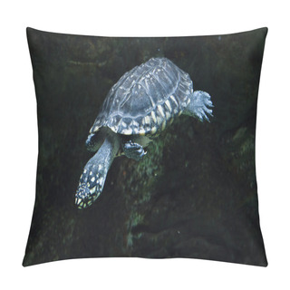 Personality  Black Pond Turtle (Geoclemys Hamiltonii) Pillow Covers