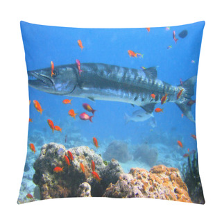 Personality  Barracuda Pillow Covers
