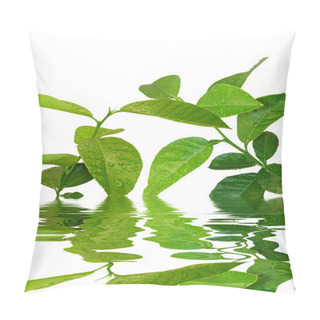 Personality  Young Lemon Trees Pillow Covers
