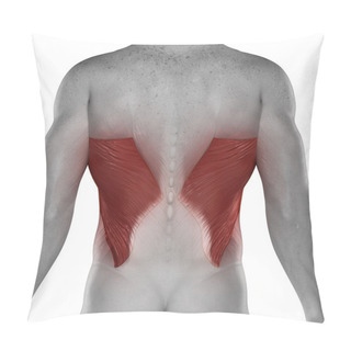Personality  Latissimus Dorsi Male Muscles Pillow Covers