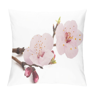 Personality  Apricot Flowers  Pillow Covers