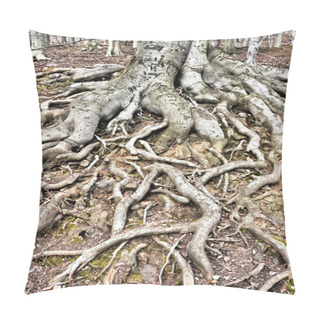 Personality  Tree Roots Pillow Covers
