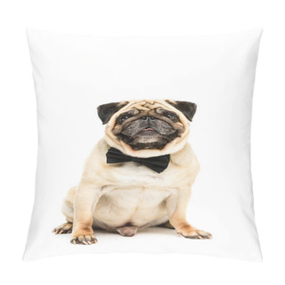 Personality  Pug Dog In Bow Tie Pillow Covers