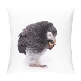 Personality  African Grey Parrot Isolated On White Pillow Covers