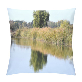 Personality  Summer Forest Landscape With Lake Pillow Covers
