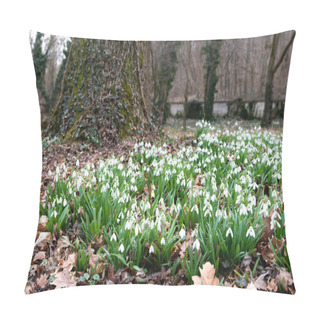 Personality  Beautiful Snowdrops Background Nature Scenic View  Pillow Covers