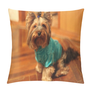 Personality  Dog Bully Pillow Covers