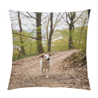 Personality  Image Of Curious Cute White Dog Standing And Resting In Narrow Forest Path, Looking Away Pillow Covers