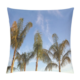 Personality  Foxtail Palm Trees ( Wodyetia Bifurcata ) Against  Blue Sky. Vacation Concept Pillow Covers