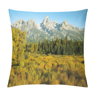 Personality  Autumn View From The Blacktail Ponds Overlook In Grand Teton National Park Pillow Covers