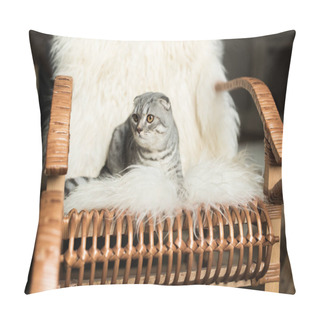 Personality  Cat On Rocking Chair Pillow Covers