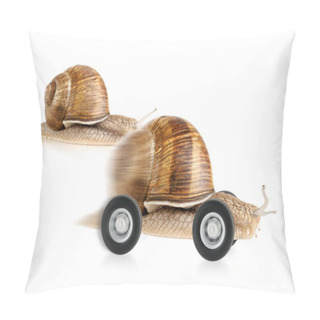 Personality  Racing Snail On Wheels Pillow Covers