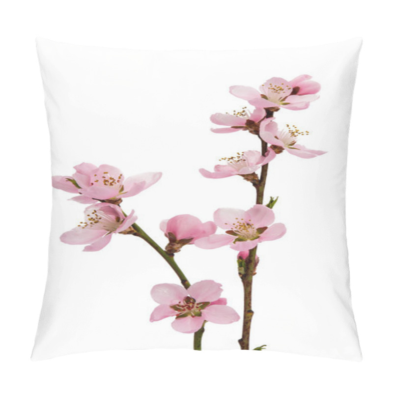 Personality  Cherry blossom, sakura flowers pillow covers
