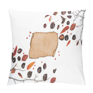Personality  Dried Leaves And Blank Parchment Pillow Covers