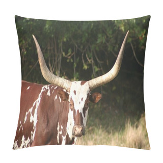 Personality  Longhorn Pillow Covers