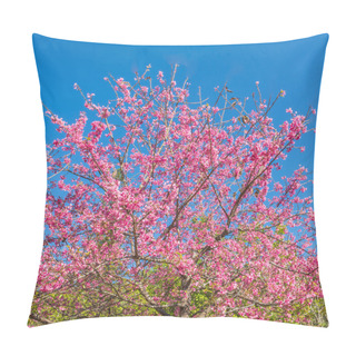 Personality  Wild Himalayan Cherry Pillow Covers