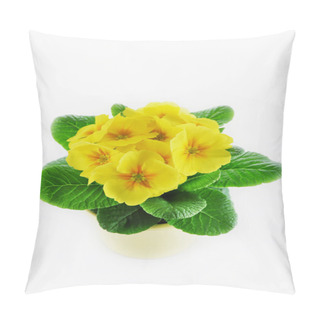 Personality  Yellow Primrose In Pot Pillow Covers