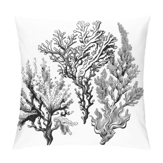 Personality  Corals Sketch Hand Drawn In Doodle Style Illustration Pillow Covers