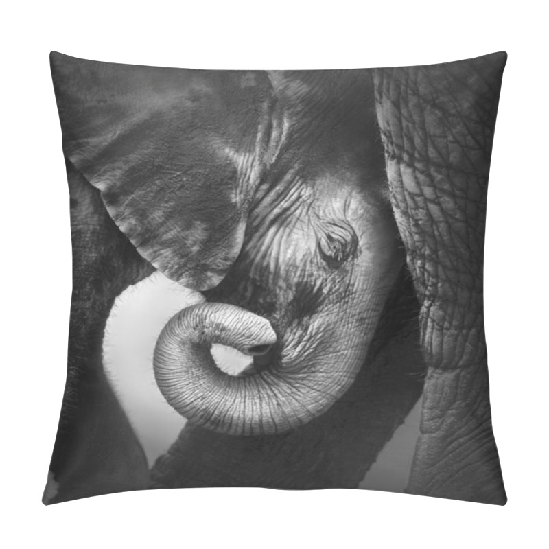 Personality  Baby elephant seeking comfort pillow covers