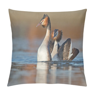 Personality  Great Crested Grebe, Waterbirds Pillow Covers