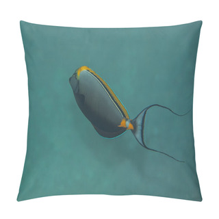 Personality  Orangespine Unicornfish Pillow Covers