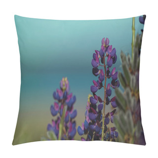 Personality  Purple Lupins On The Seashore Pillow Covers