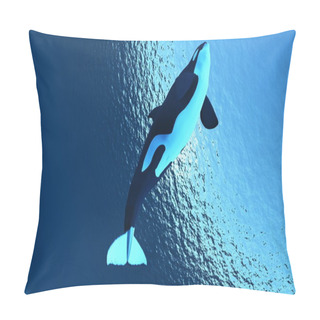 Personality  Killer Whale Pillow Covers