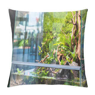 Personality  Terrarium Style Small Garden With Rock And Driftwood In Glass Container Containing Soil And Decoration Bromeliad Plants. Pillow Covers
