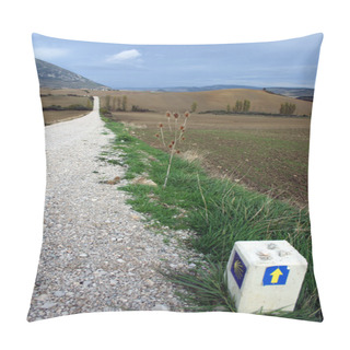Personality  Navarra Pillow Covers