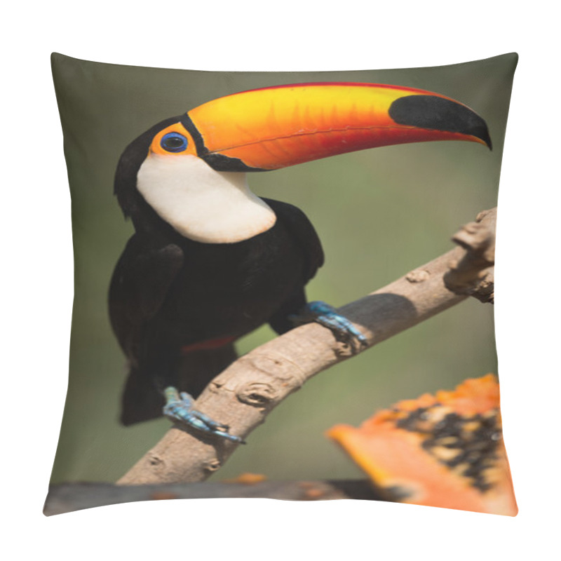 Personality  Close-up Of Toco Toucan Eyeing Papaya Half Pillow Covers